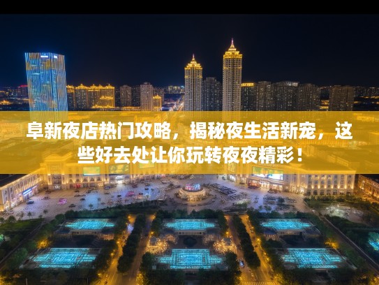 阜新夜店热门攻略，揭秘夜生活新宠，这些好去处让你玩转夜夜精彩！