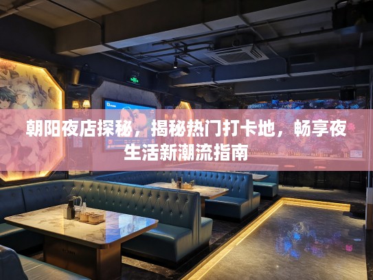 朝阳夜店探秘，揭秘热门打卡地，畅享夜生活新潮流指南