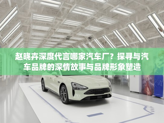 赵晓卉深度代言哪家汽车厂？探寻与汽车品牌的深情故事与品牌形象塑造