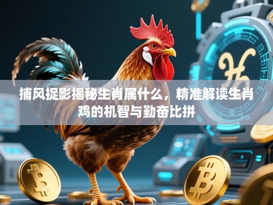捕风捉影揭秘生肖属什么，精准解读生肖鸡的机智与勤奋比拼