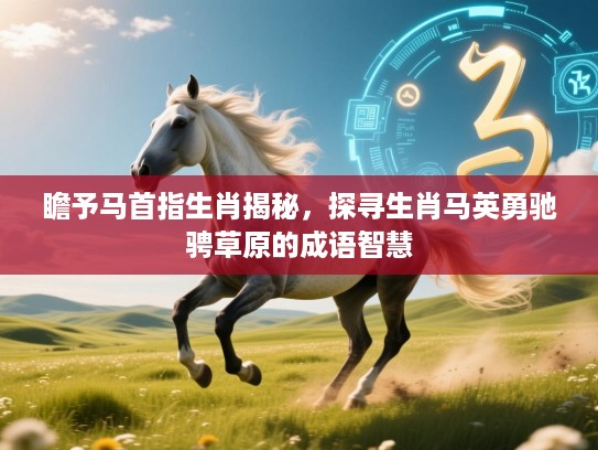 瞻予马首指生肖揭秘，探寻生肖马英勇驰骋草原的成语智慧