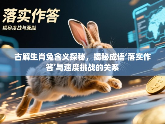 古解生肖兔含义探秘，揭秘成语‘落实作答’与速度挑战的关系