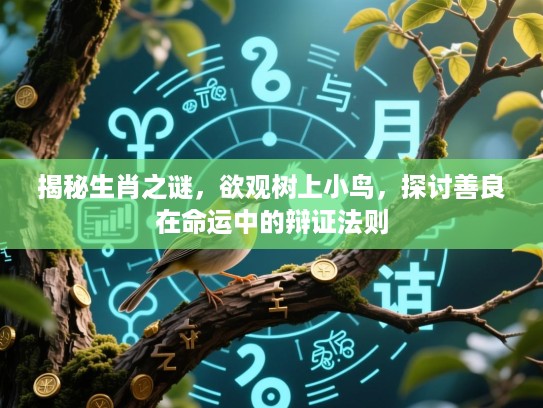 揭秘生肖之谜，欲观树上小鸟，探讨善良在命运中的辩证法则