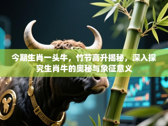 今期生肖一头牛，竹节高升揭秘，深入探究生肖牛的奥秘与象征意义