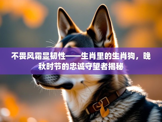 不畏风霜显韧性——生肖里的生肖狗,晚秋时节的忠诚守望者揭秘 不畏风霜显韧性——生肖里的生肖狗,晚秋时节的忠诚守望者揭秘
