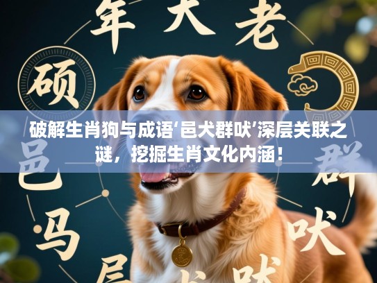 破解生肖狗与成语‘邑犬群吠’深层关联之谜，挖掘生肖文化内涵！