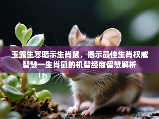 玉露生寒暗示生肖鼠，揭示最佳生肖权威智慧—生肖鼠的机智经商智慧解析