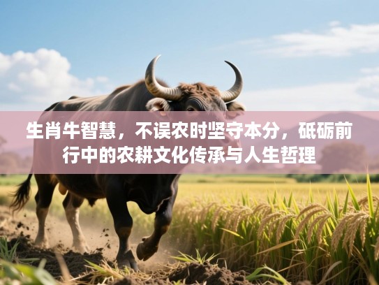 生肖牛智慧，不误农时坚守本分，砥砺前行中的农耕文化传承与人生哲理
