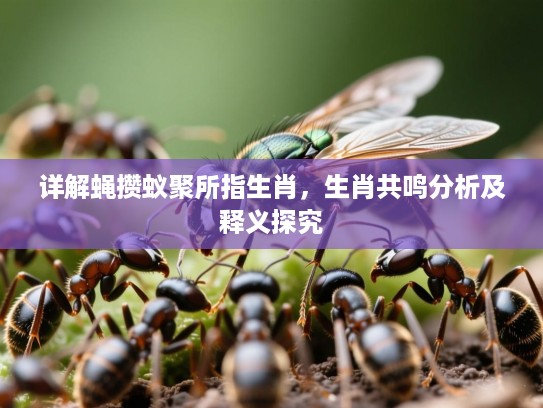 详解蝇攒蚁聚所指生肖,生肖共鸣分析及释义探究 详解蝇攒蚁聚所指生肖,生肖共鸣分析及释义探究