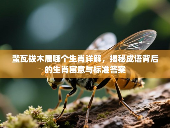 蜚瓦拔木属哪个生肖详解,揭秘成语背后的生肖寓意与标准答案 蜚瓦拔木属哪个生肖详解,揭秘成语背后的生肖寓意与标准答案