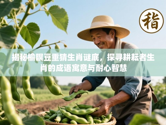 揭秘榆瞑豆重猜生肖谜底,探寻耕耘者生肖的成语寓意与耐心智慧 揭秘榆瞑豆重猜生肖谜底,探寻耕耘者生肖的成语寓意与耐心智慧