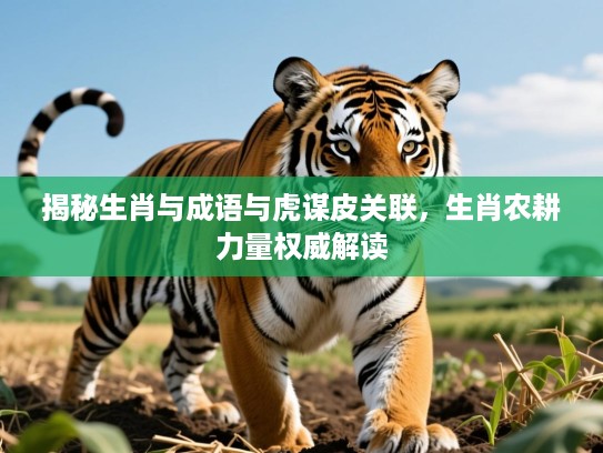 揭秘生肖与成语与虎谋皮关联,生肖农耕力量权威解读 揭秘生肖与成语与虎谋皮关联,生肖农耕力量权威解读