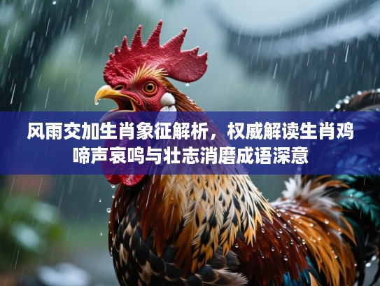 风雨交加生肖象征解析,权威解读生肖鸡啼声哀鸣与壮志消磨成语深意 风雨交加生肖象征解析,权威解读生肖鸡啼声哀鸣与壮志消磨成语深意
