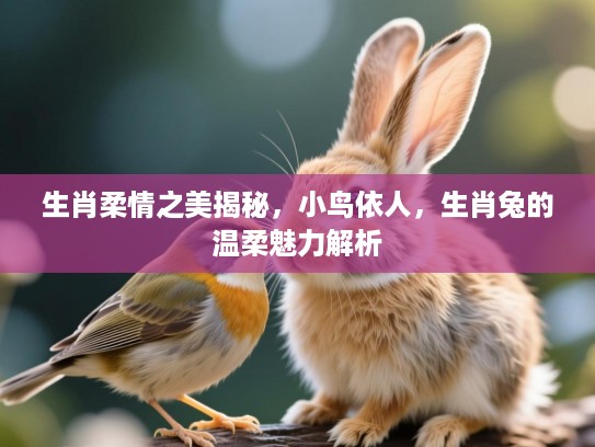 生肖柔情之美揭秘，小鸟依人，生肖兔的温柔魅力解析
