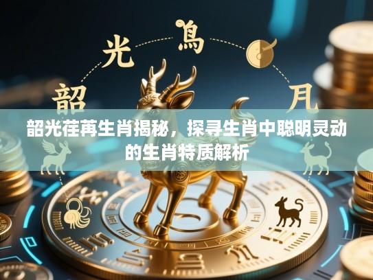 韶光荏苒生肖揭秘，探寻生肖中聪明灵动的生肖特质解析