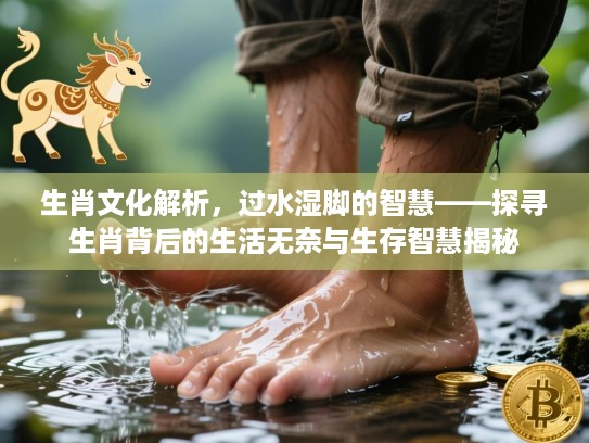 生肖文化解析，过水湿脚的智慧——探寻生肖背后的生活无奈与生存智慧揭秘