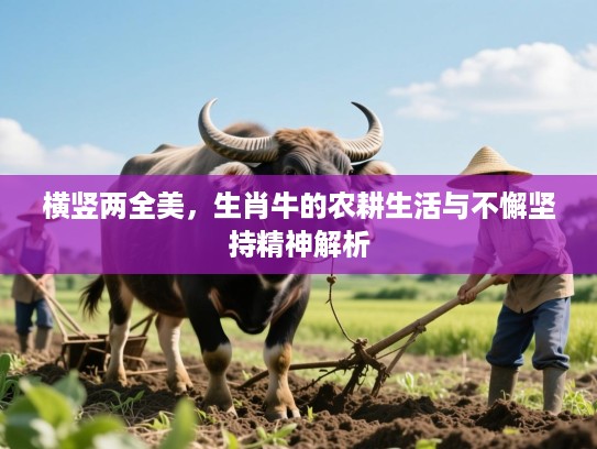 横竖两全美，生肖牛的农耕生活与不懈坚持精神解析